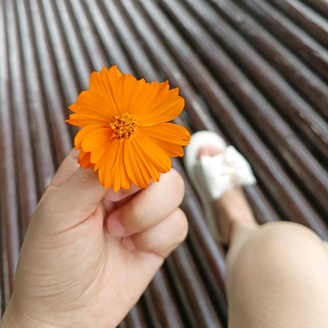 初夏迷了眼