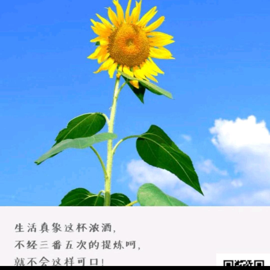 悟深