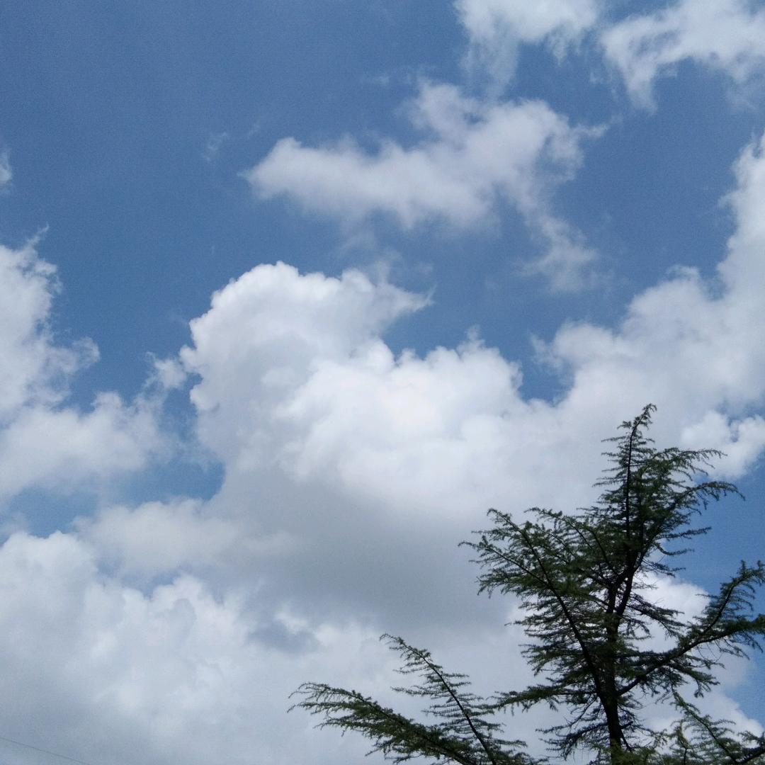 流星雨