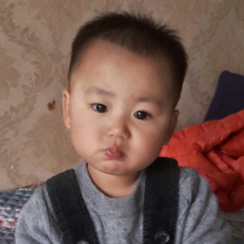 豆宝