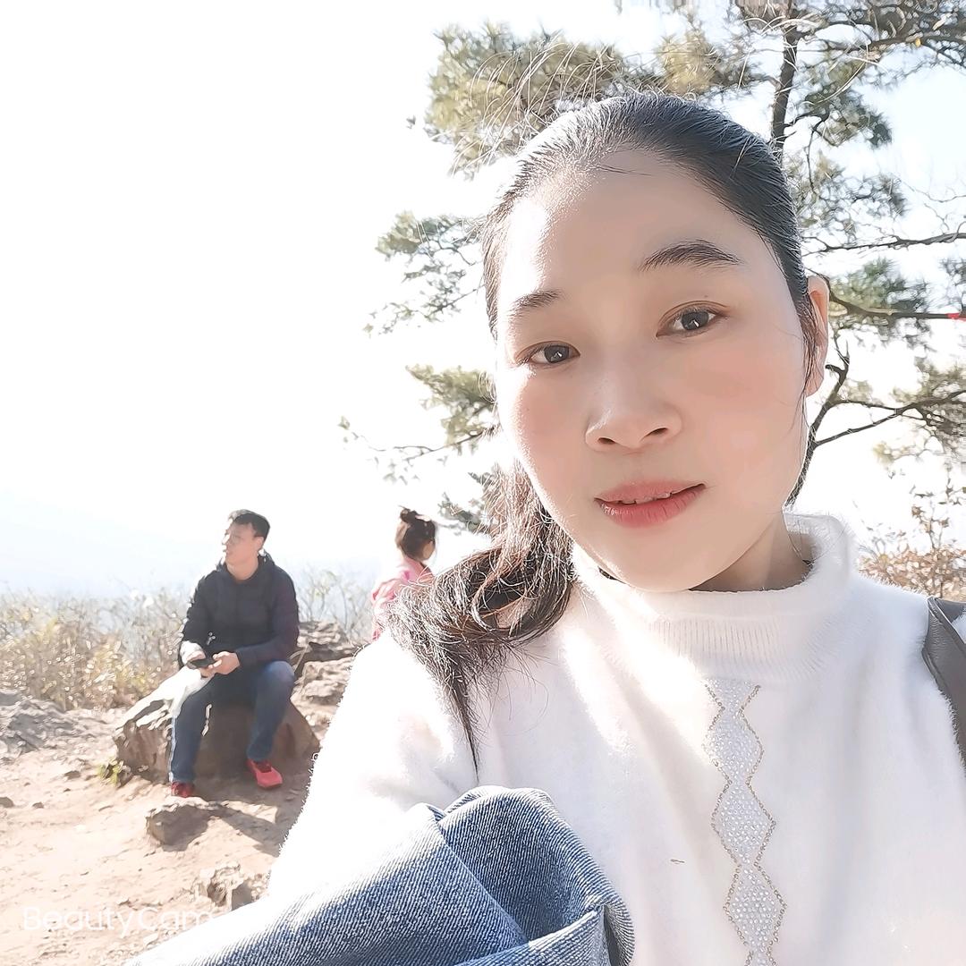 青青洗护