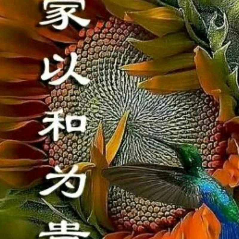 白天不懂夜的黑