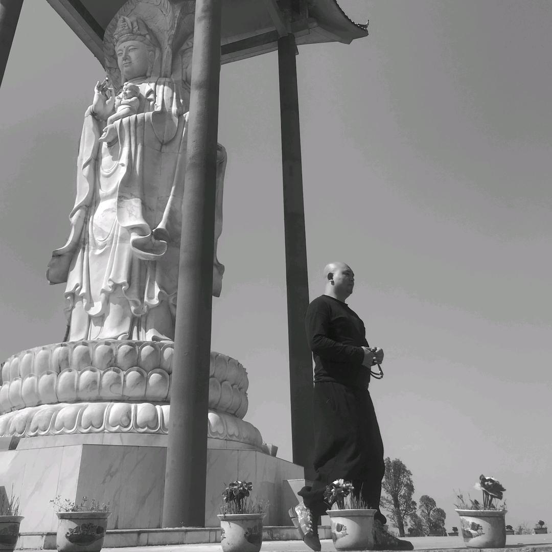 光头杨