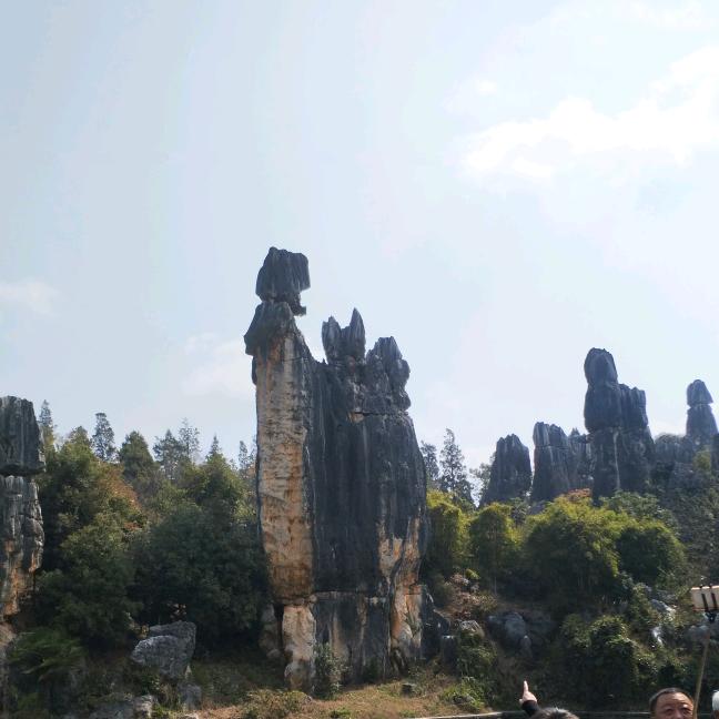 Li什么李       ༽🪳