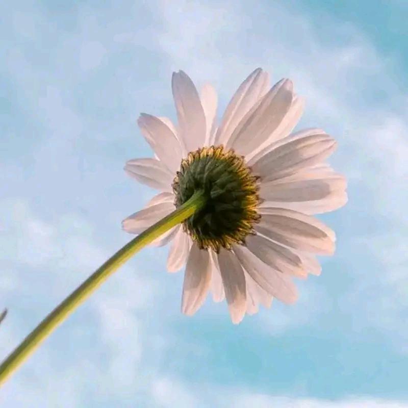 余生各自安好 ！