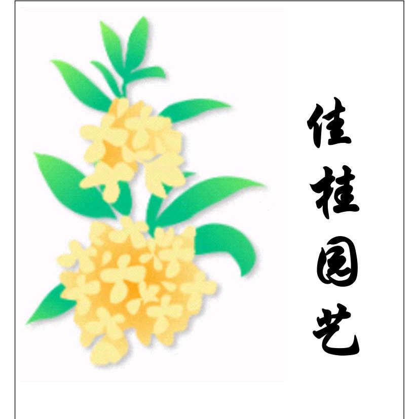 咸宁佳桂园桂花