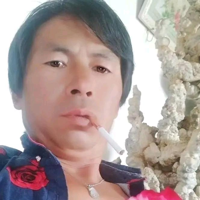 人生快乐，单身找爱人，卖野花盆景