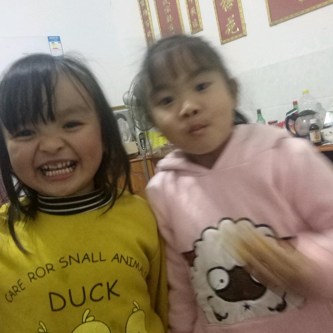 团山斗鸡养殖伟哥