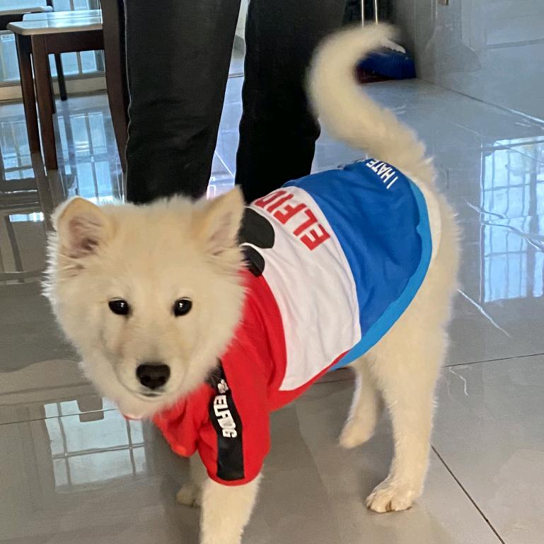 在以后的日子里