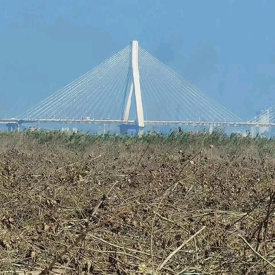 阳光