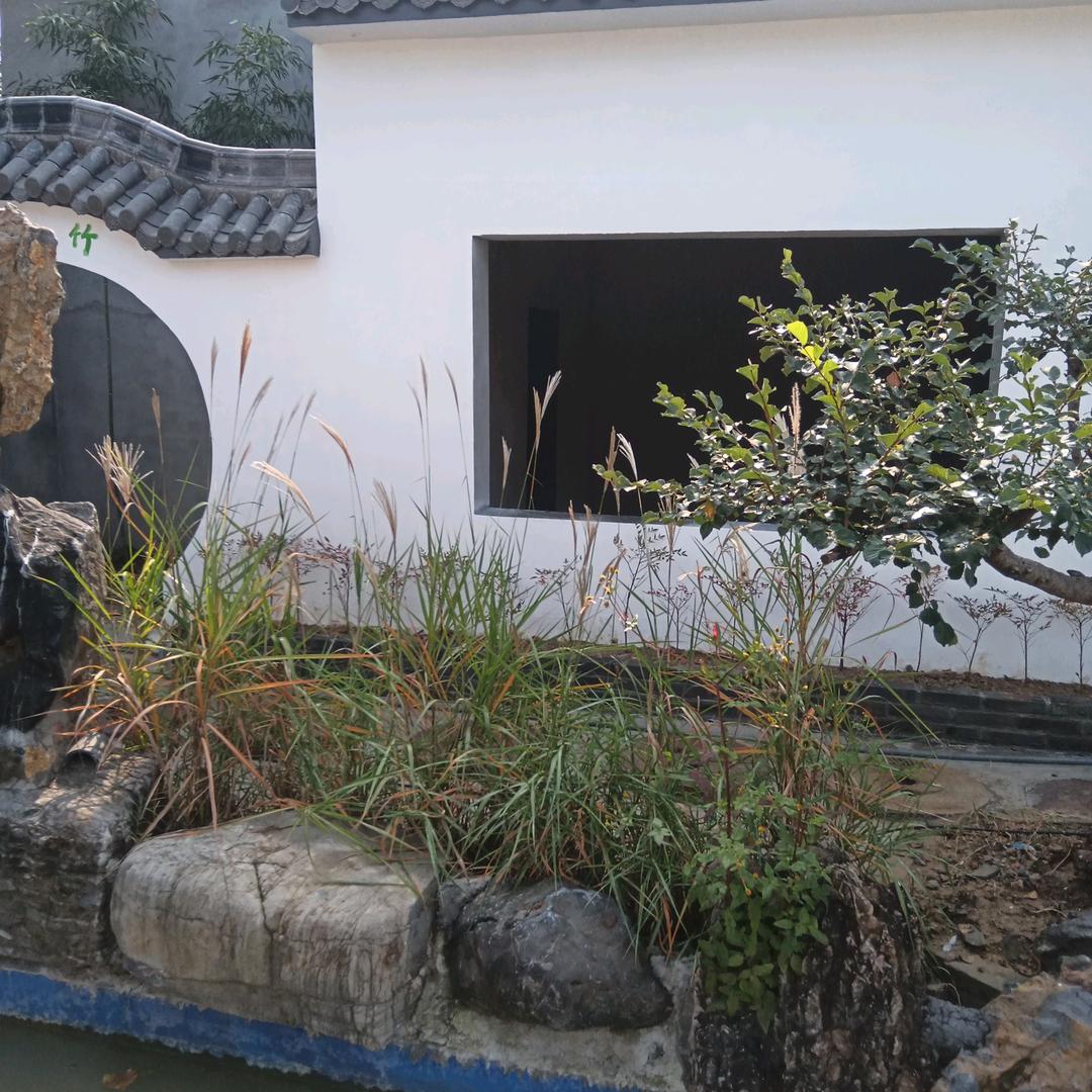 乡村小院：老董说石