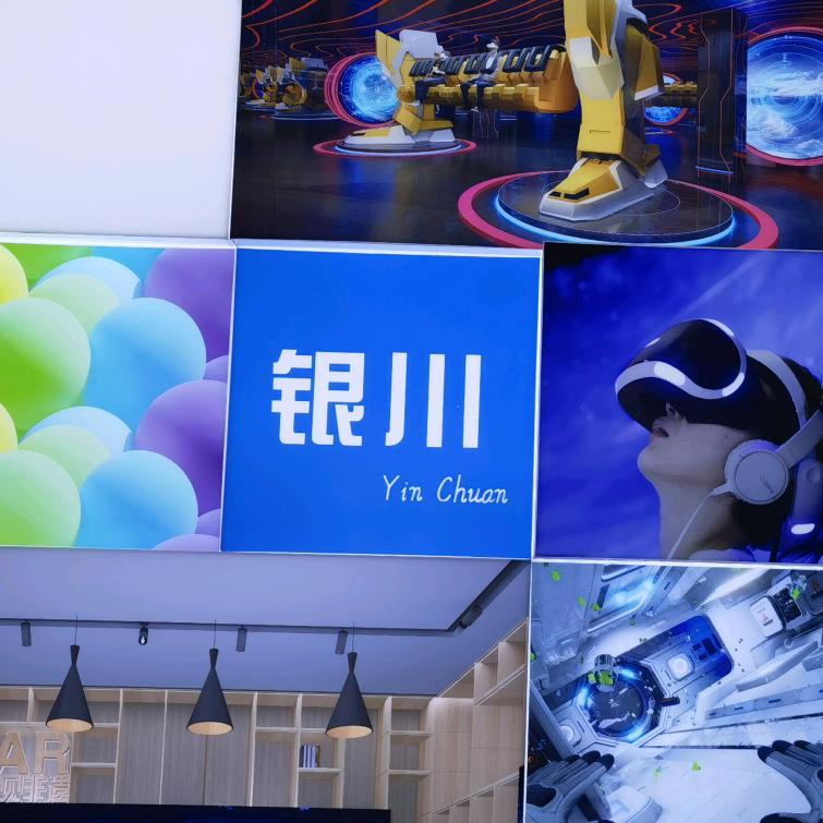 沙枣树_宁夏产业招商与科创服务