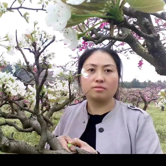 记得看月亮