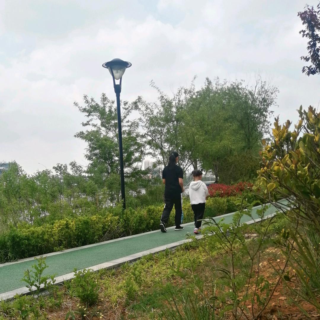 刘燕（静静）