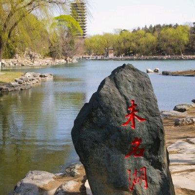 《毛选》致用精训营