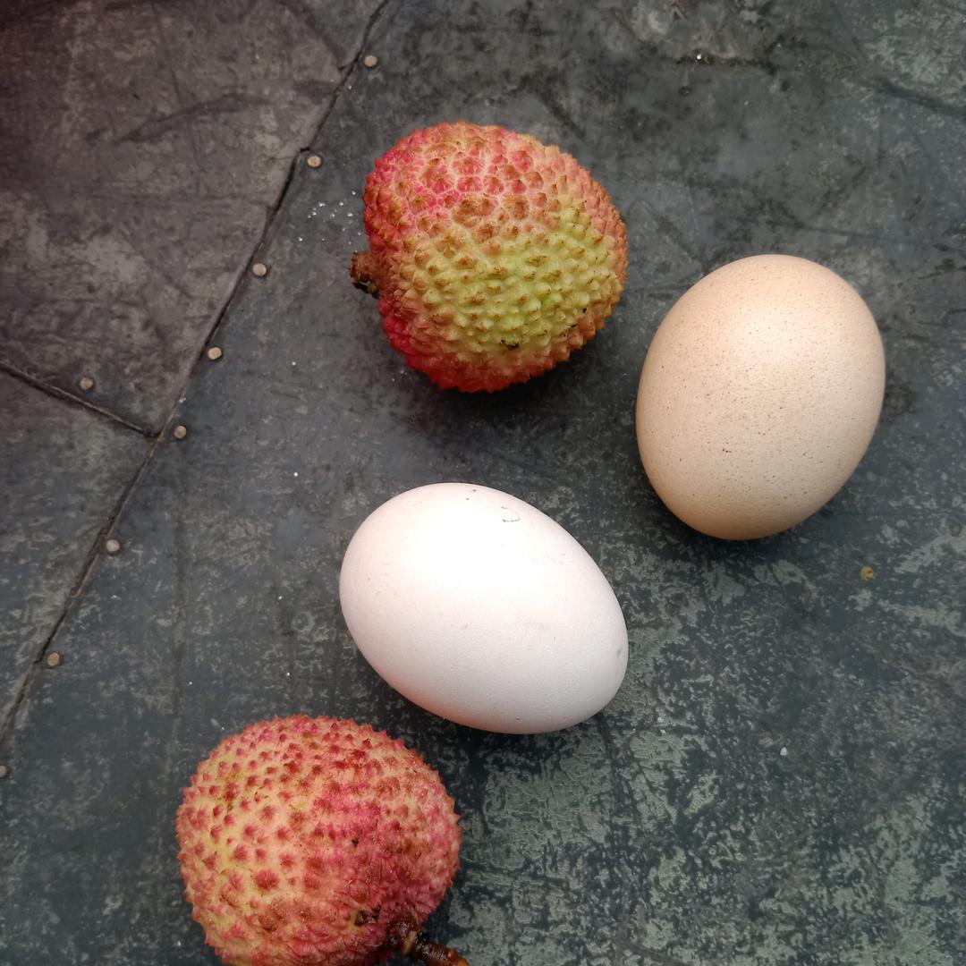 向哥哥（南溪光头面馆）