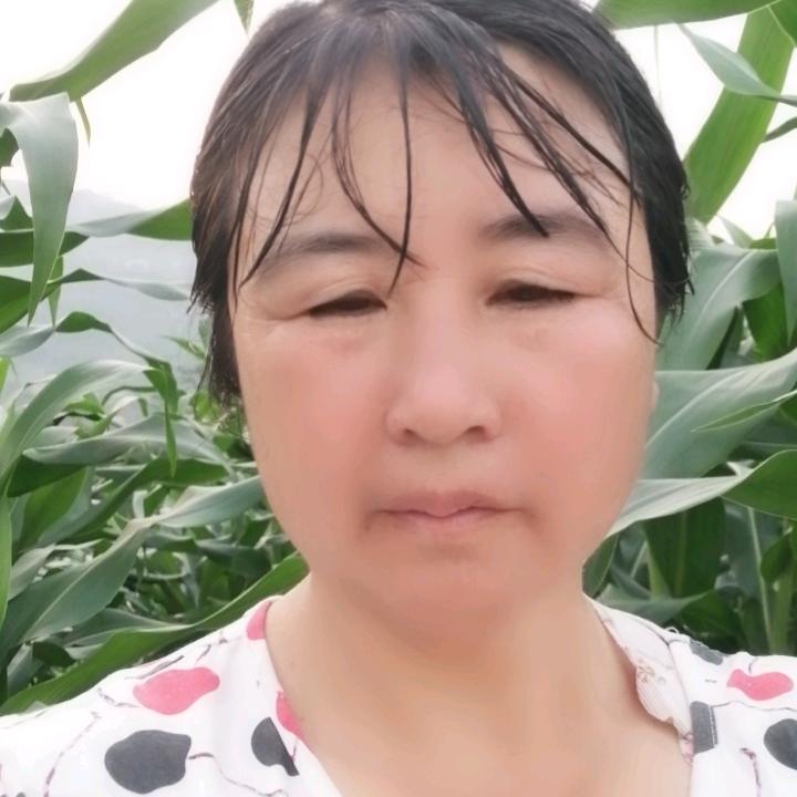 青平(不定时开播)