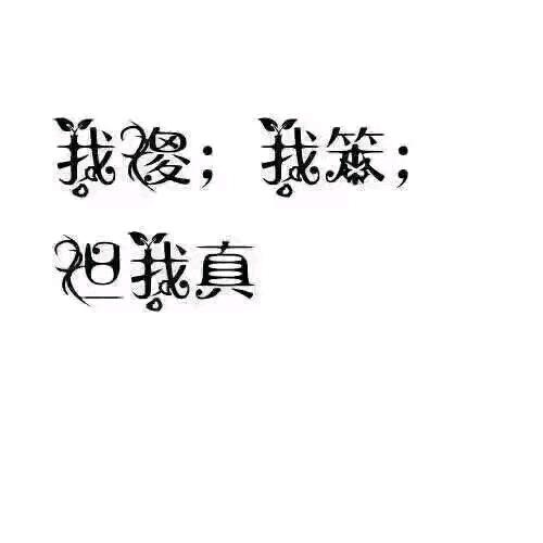 龙哥