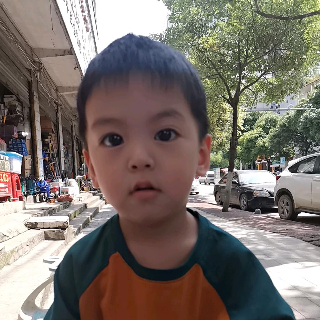 飞飞飞飞了