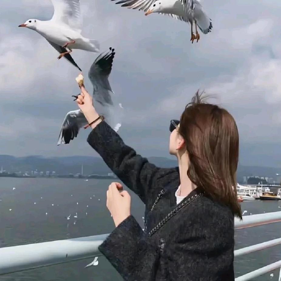 燕子