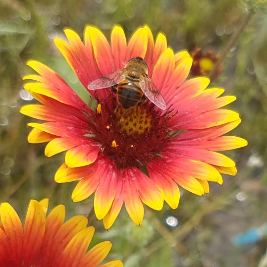 (๑òᆺó๑)康哥