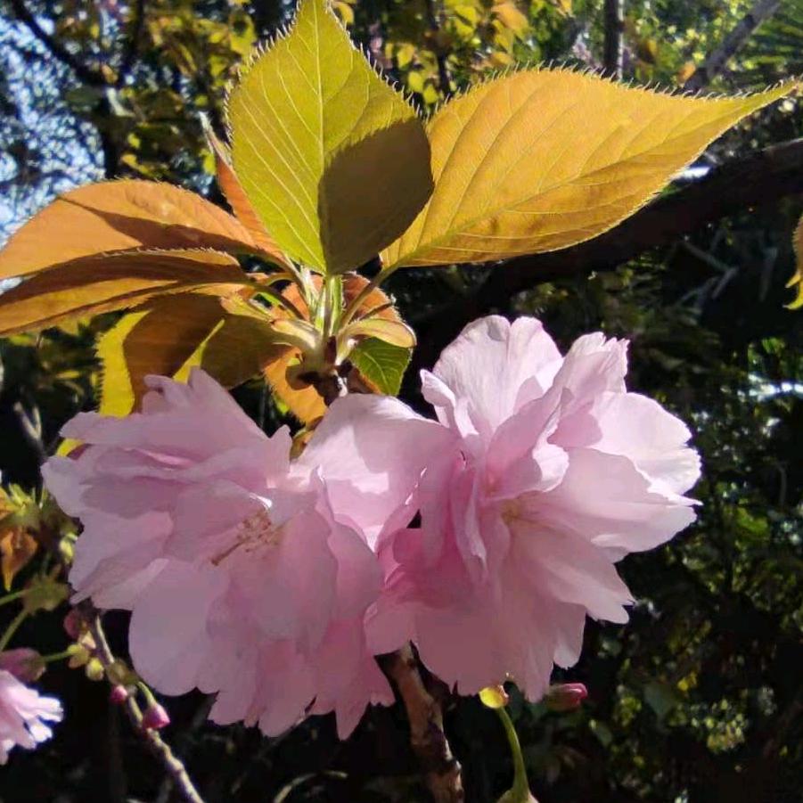 🌈🌈🌈坐等黑漂🌈