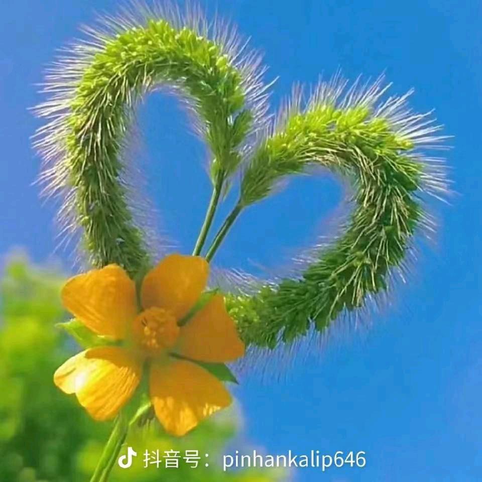 阿·王