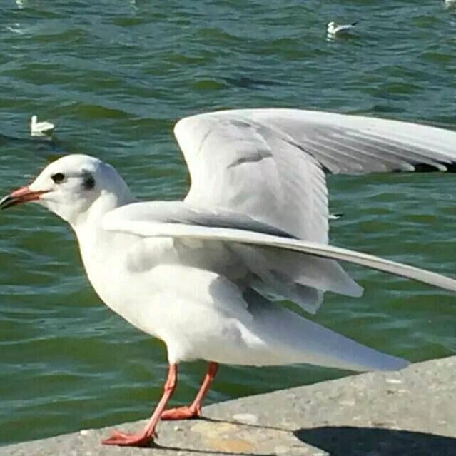 ꧁别闹꧂