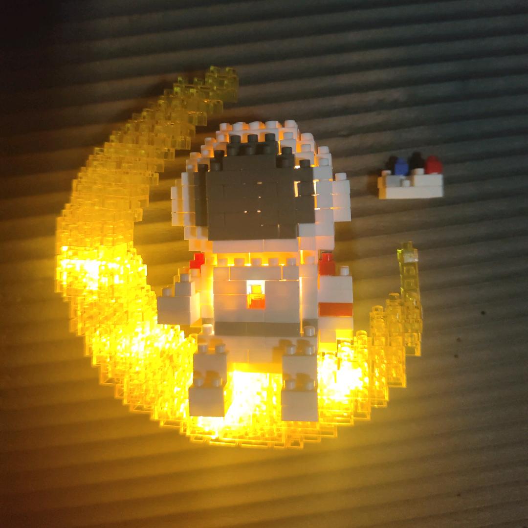 想成为乌龟的猫