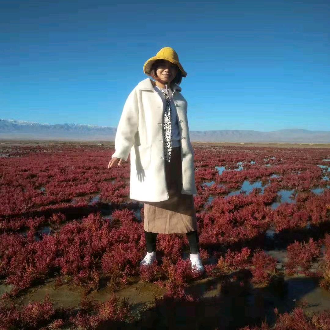 清风伊人