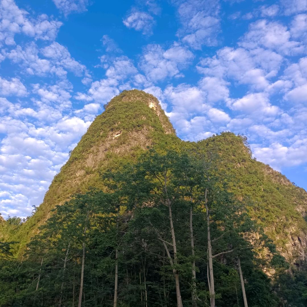 迷梦人——阿玉