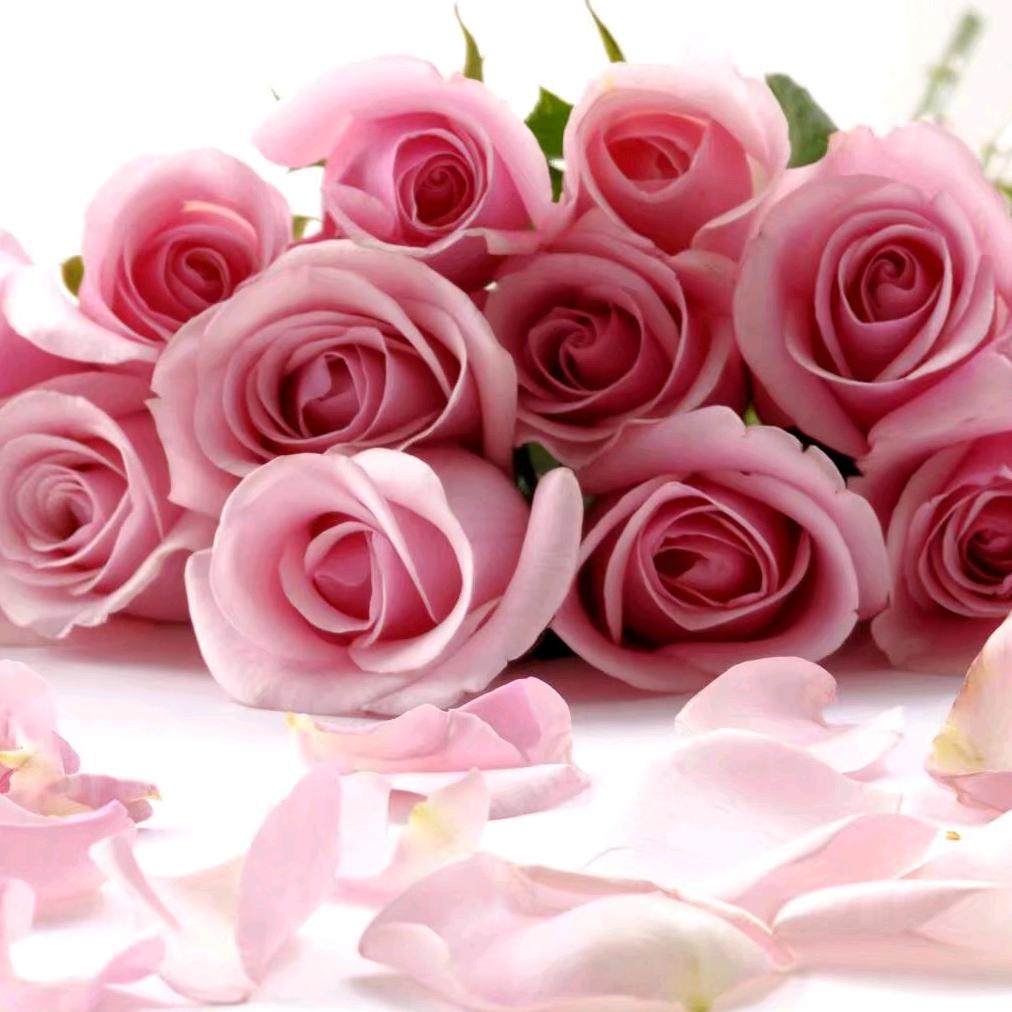 用户6135595854475璀璨人生