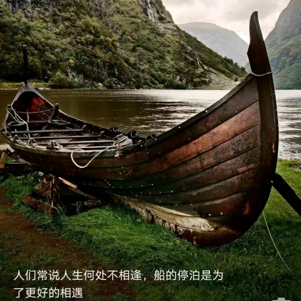 风华正茂😄
