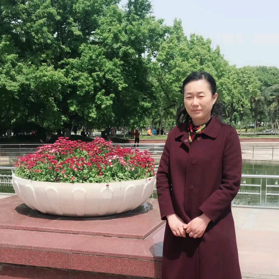 五月菊