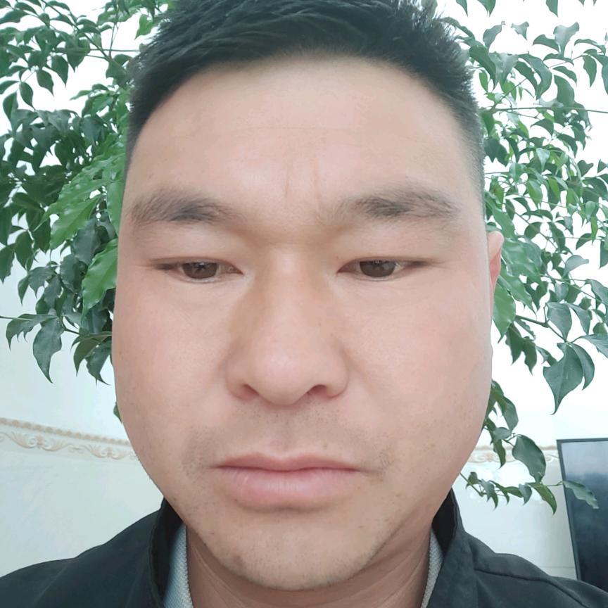 挖机出租液压油过滤