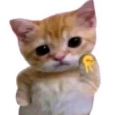 科技怪人刘拖地