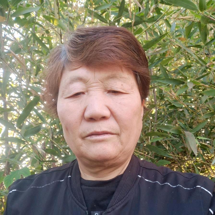 引玲姐