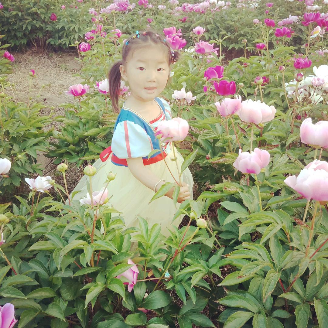 洪侠