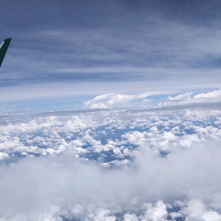 龙