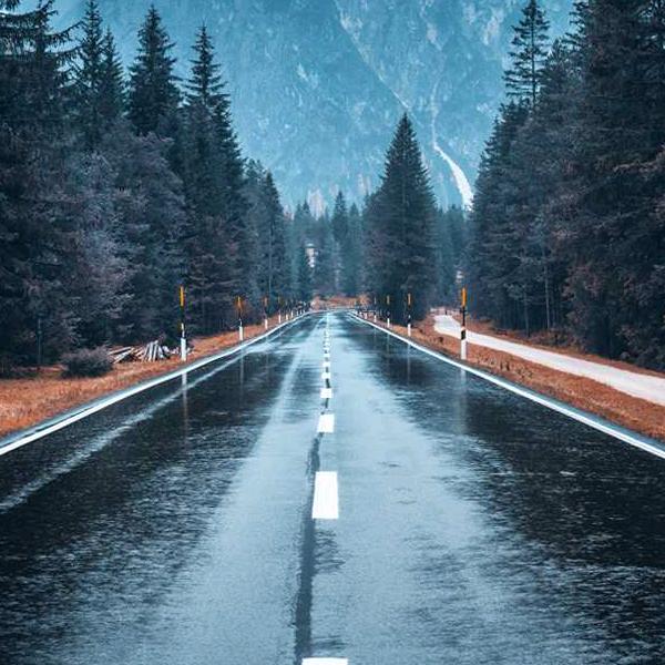 邢恩宏常年销售稻壳麻鸡粪