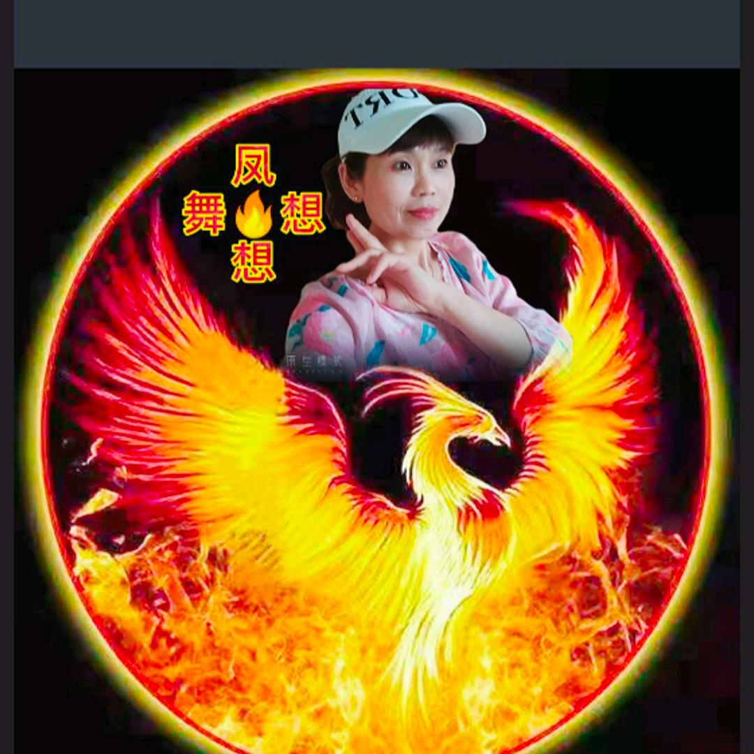凤舞🔥想想