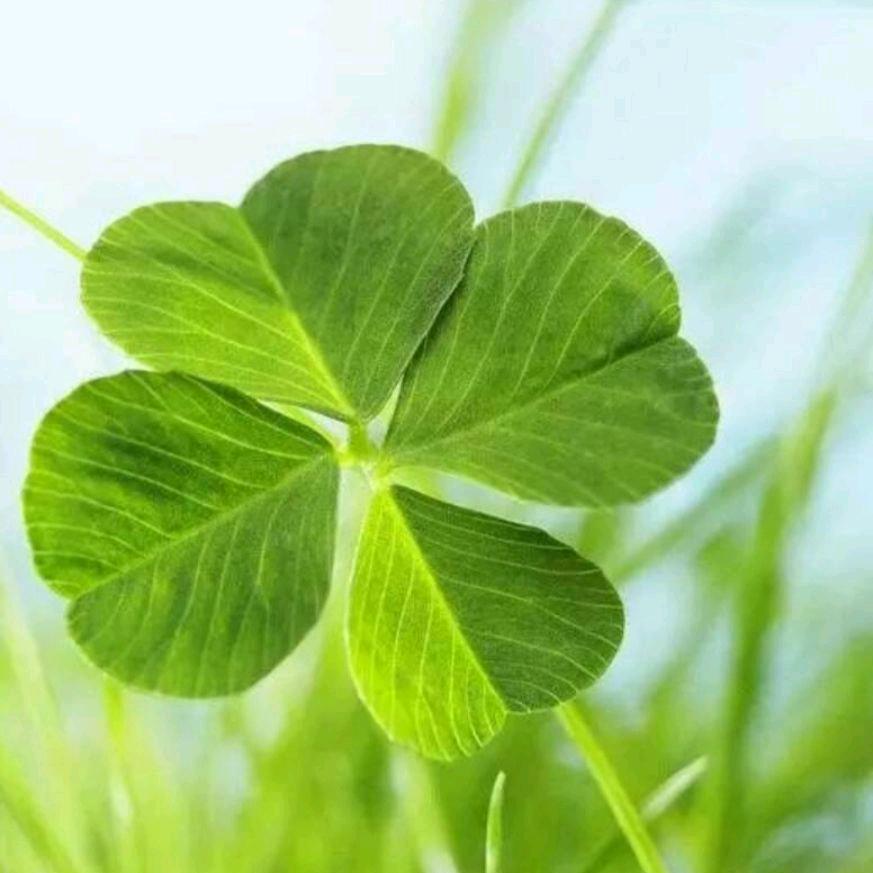 王国利摩托修理店