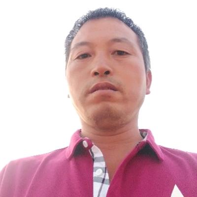 冰鹤