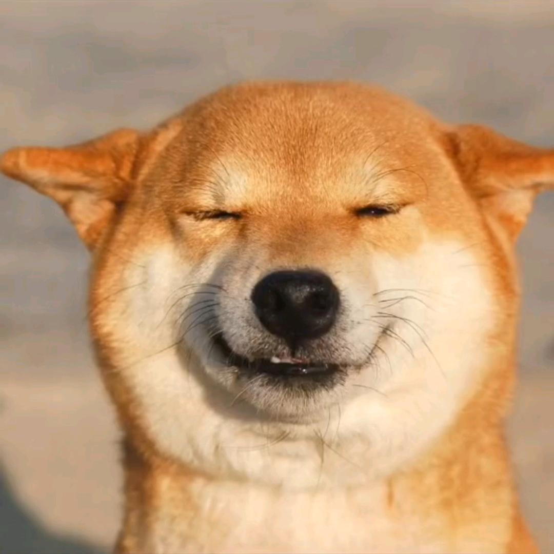 ޓ哒哒哒哒冒蓝火的加特林