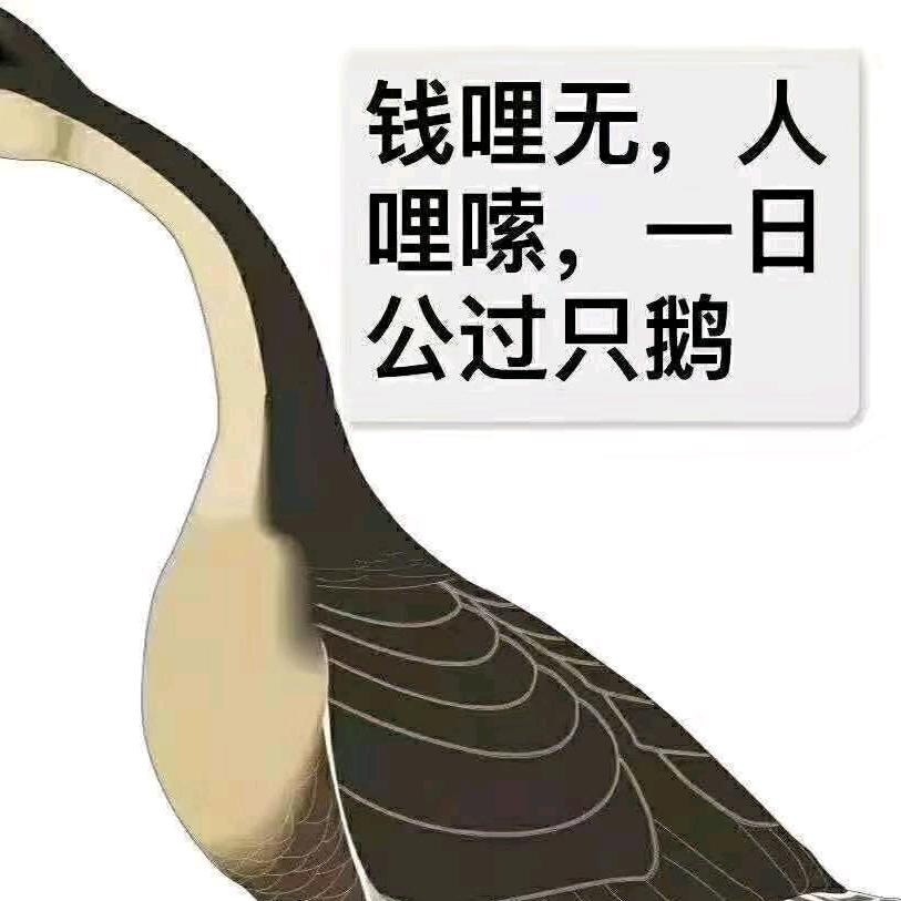 炉来起☕茶来冲