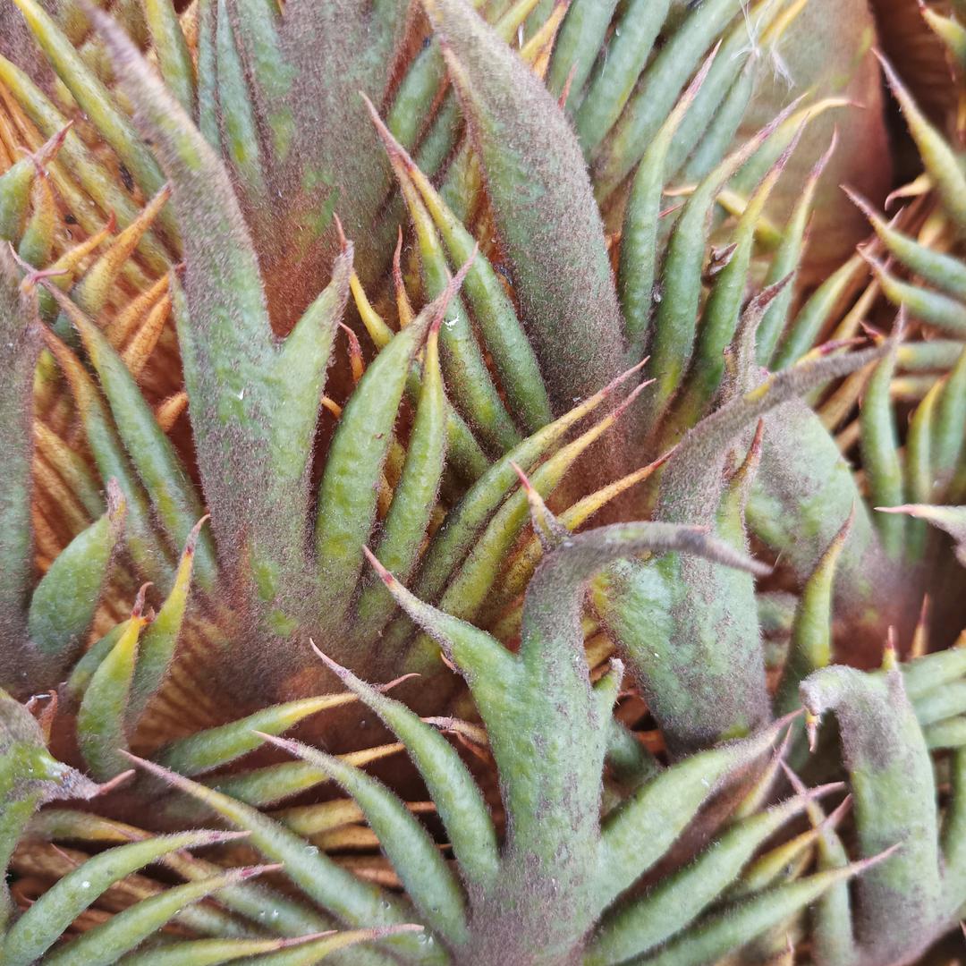 74年的虎！🐅！:会姐~（拒绝私聊）