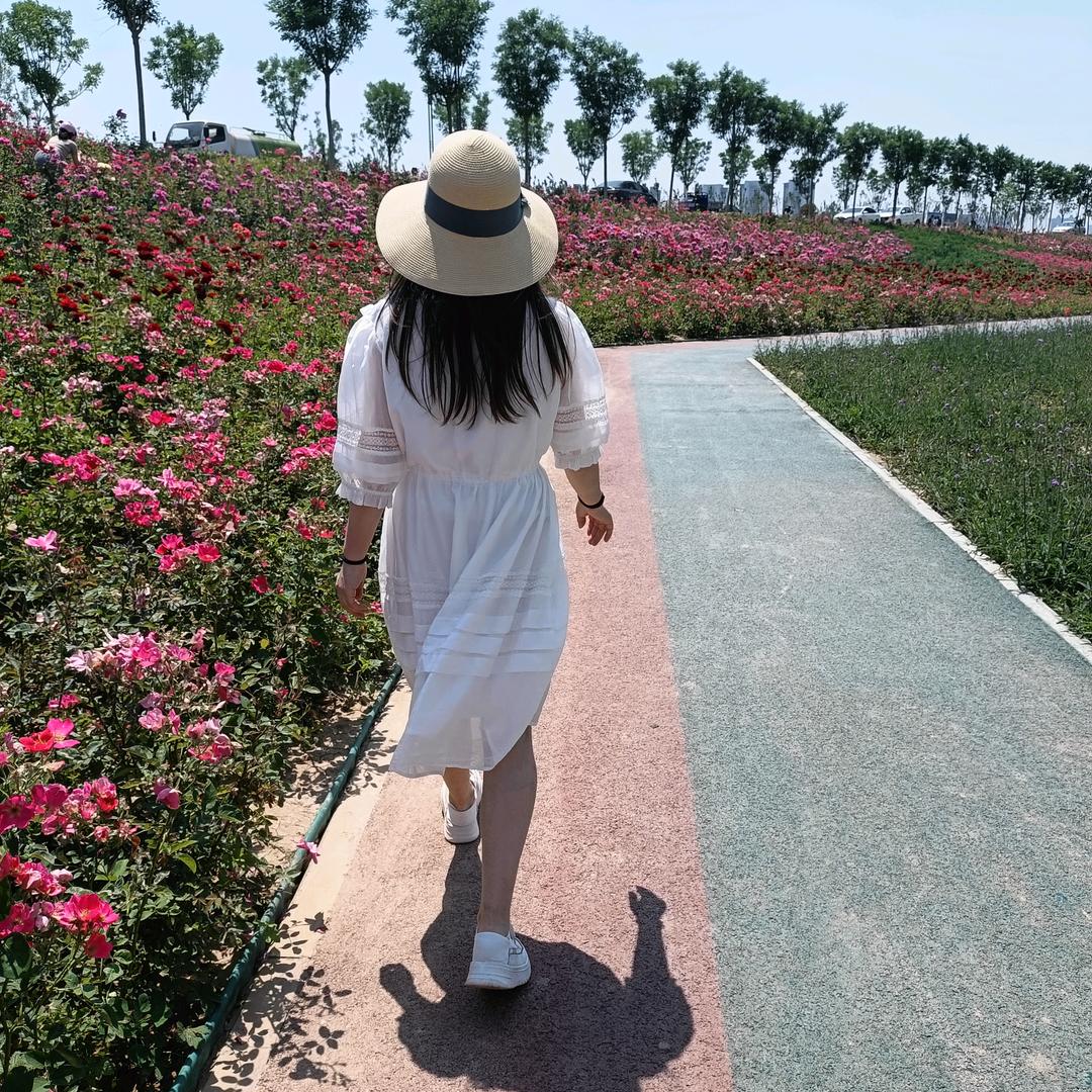 🌸🌸(⌒o⌒)唯美之恋🌸🌸
