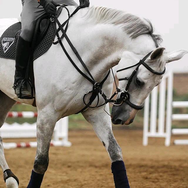 爱马仕马术俱乐部