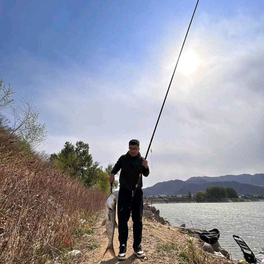 小鱼干6