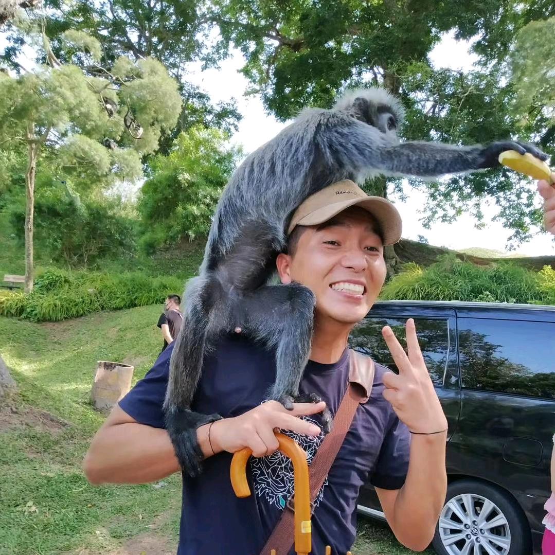 吴相的旅行推介